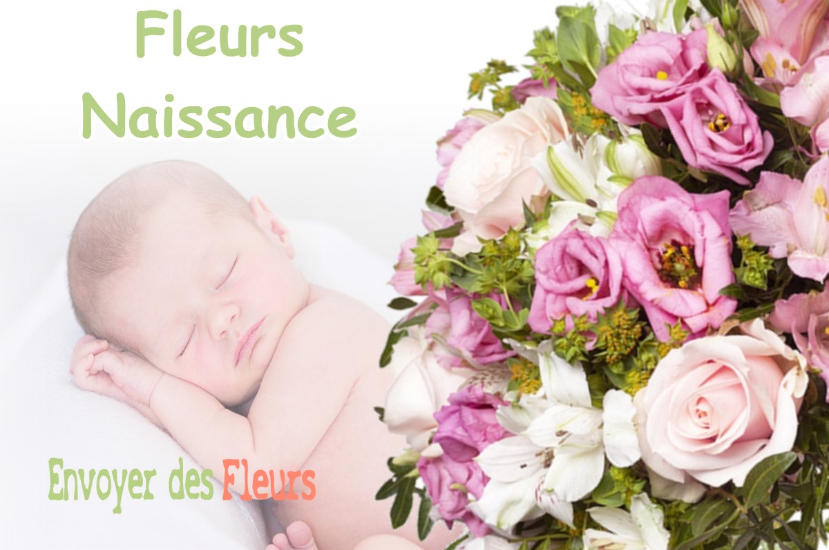 lIVRAISON FLEURS NAISSANCE à SEVRES